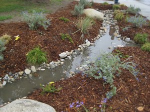 Elmer Bioswale April 2010