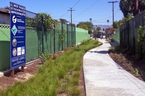 1st-springY_N_050313