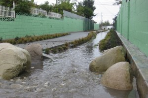 2nd-winter-Paseo-012413am-EricYoshida